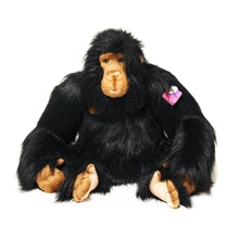 ������� 67 ��.